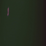 RAL 6015